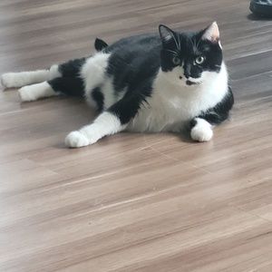 Meet your Posher, Holli